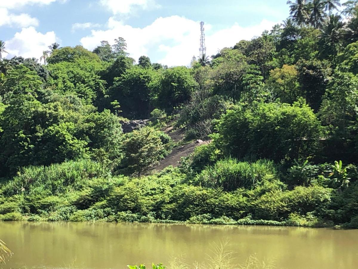 Kandy Rivers Edge Nature Resort ภายนอก รูปภาพ