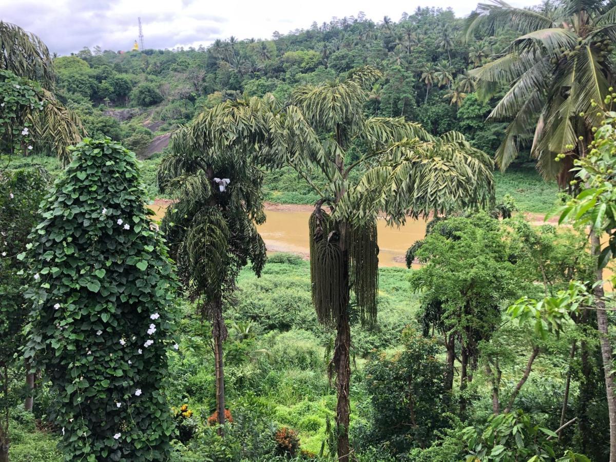Kandy Rivers Edge Nature Resort ภายนอก รูปภาพ