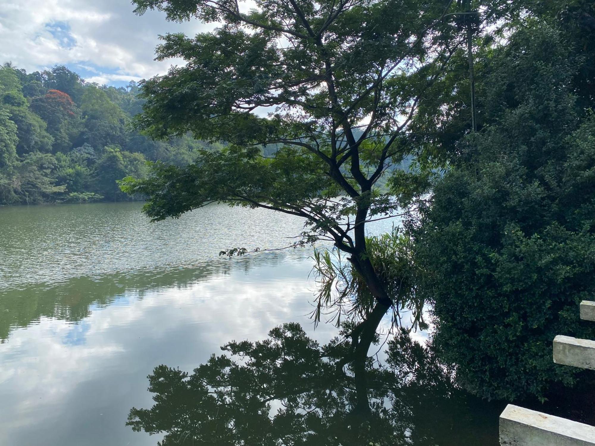 Kandy Rivers Edge Nature Resort ภายนอก รูปภาพ