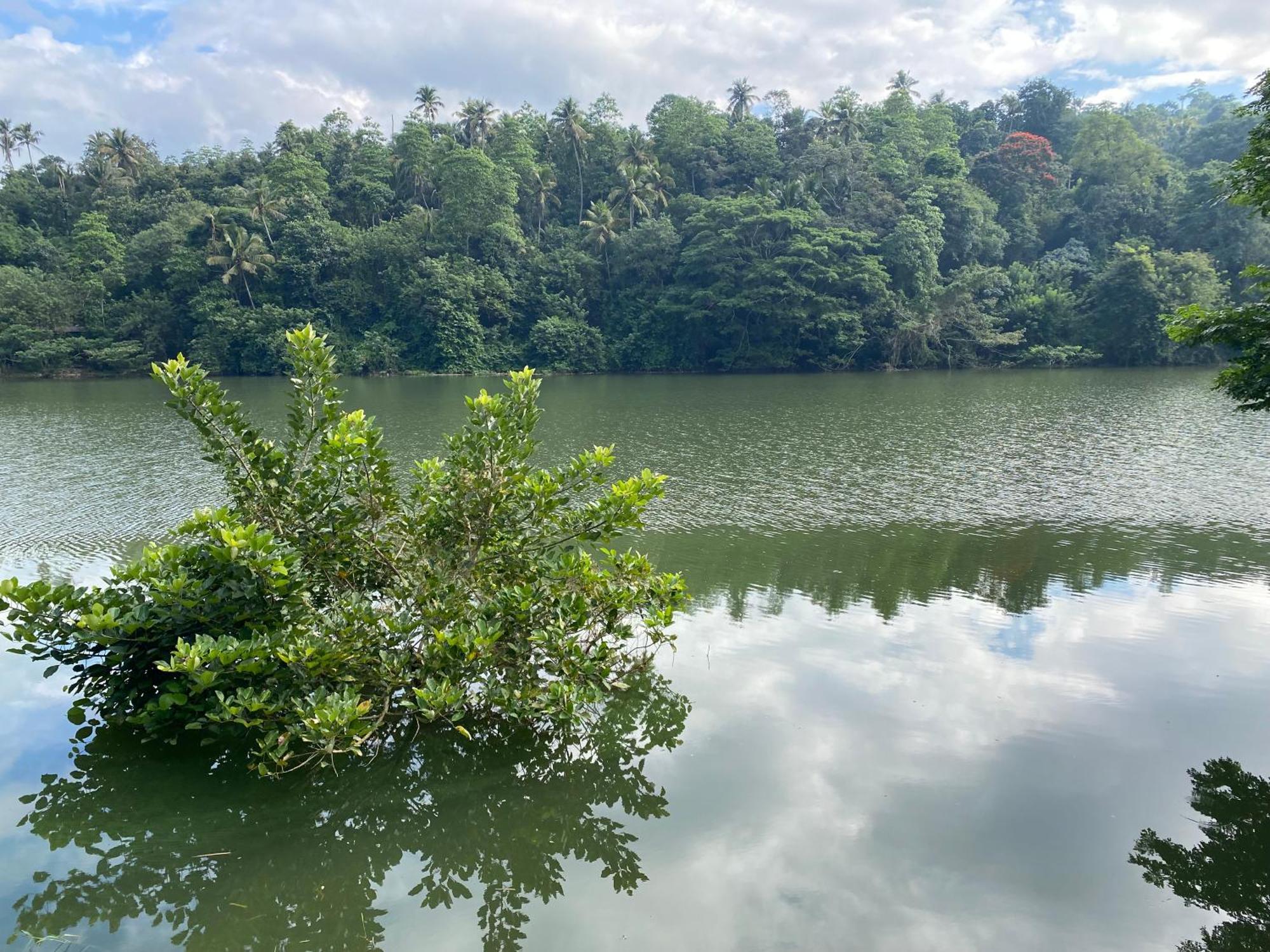 Kandy Rivers Edge Nature Resort ภายนอก รูปภาพ